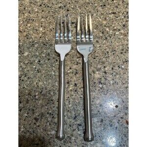 2 Pcs Gourmet Settings Exotique Platinum 18/10 Stainless Forks